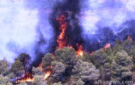 تکرار قصه آتش سوزی‌های منابع طبیعی در استان
